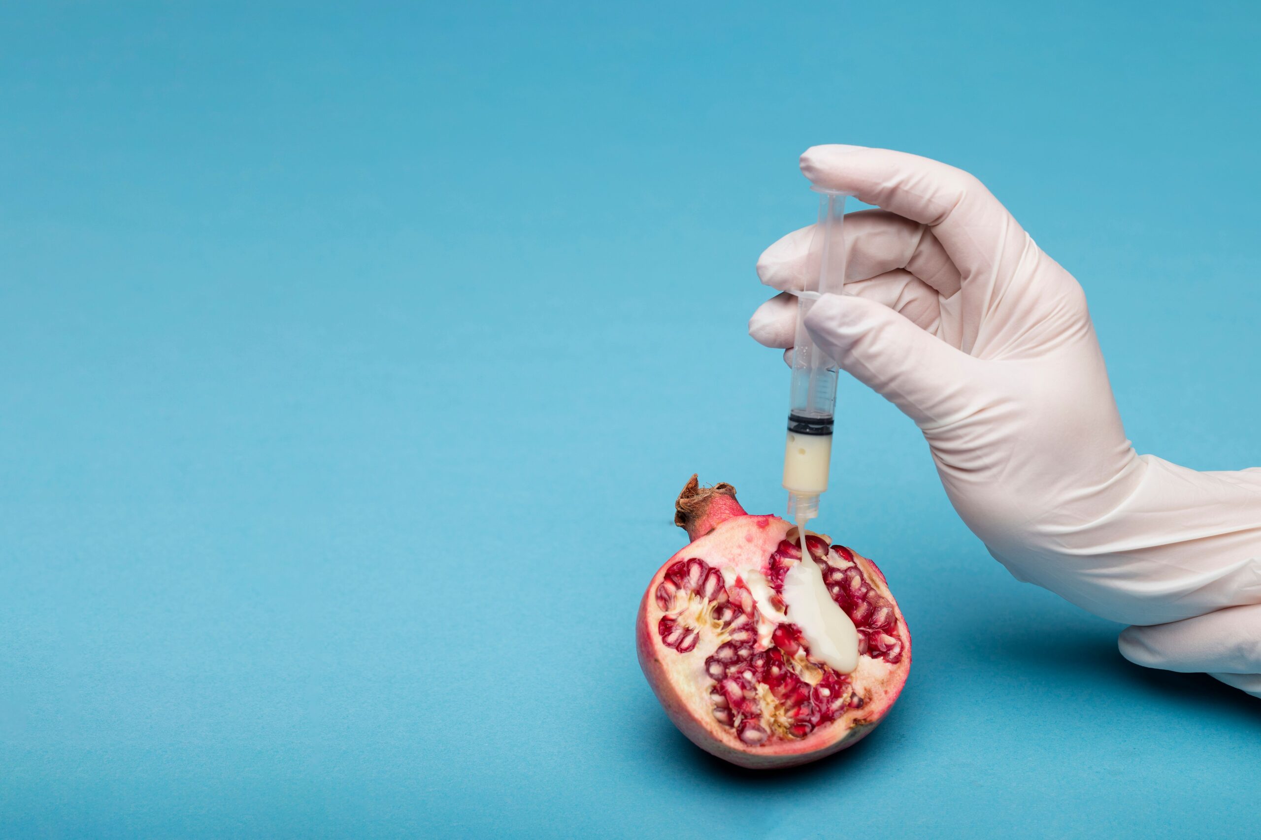 A thought-provoking still life image of a pomegranate and syringe, symbolizing fertility and artificial insemination.
