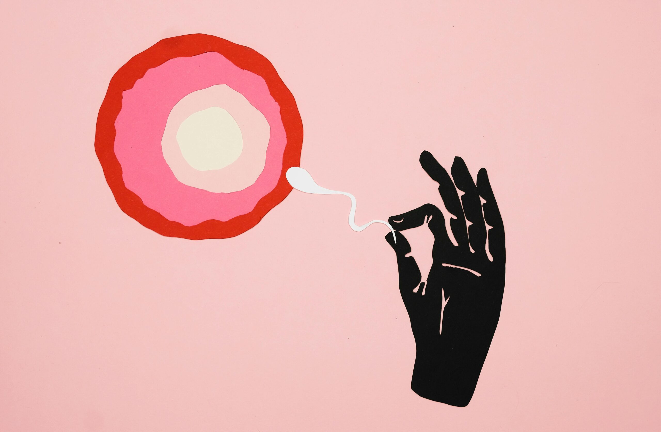 Illustration depicting fertilization with ovum and sperm on a pink background.